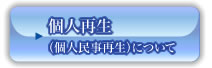 個人再生（個人民事再生）について